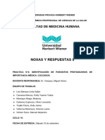 Informe N°4 - Noxas II