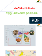 Indus Valley Civilization