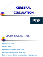 Cerebral Circulation