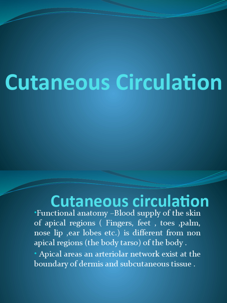 Cutaneous Circulation PDF Vasodilation Skin
