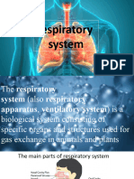 Respiratory System