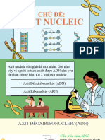 Axit Nucleic