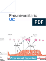 Ciclo Sexual Femenino