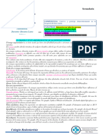 Ficha Informativa Ensayo de La Dinidad Humana