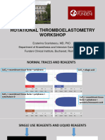 Copy of Workshop ROTEM