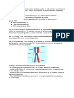 Guia Genetica 1 Semestre