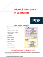 Translation Regulation - Part 2
