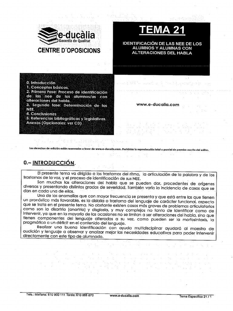 Tema 21 Al | PDF