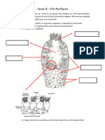 Tarea 5 - UNIDAD II - Filo Poriferos