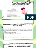 Factores de Riesgo y Factor Protector Lactancia Materna - Grupo 6 - Priscila Torres - PD