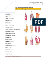 Anatomie 2