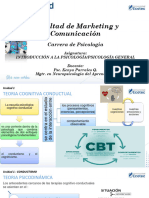 Cognitiva Conductual 29