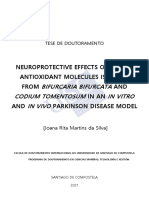 Neuroprotective Effects of Potent Antioxidant Molecules Isolated From AND in An AND Parkinson Disease Model