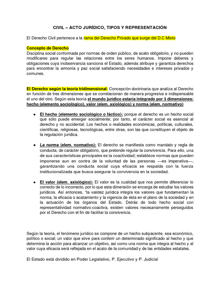 Acto Jurídico, Tipos y Representación | PDF | Estado (política