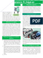 Identificación de Enzimas