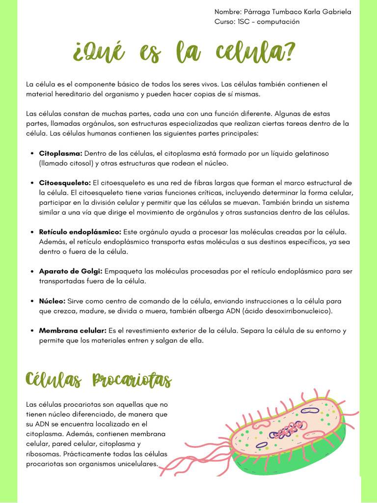Partes de Células Procariotas y Eucariotas | PDF | Biología Celular ...