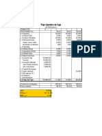 Formato de Flujos de Caja