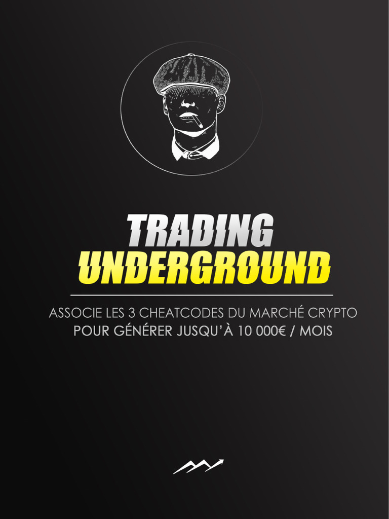 Risques du Trading de Memecoins | PDF | Opérateur de marché | Risque