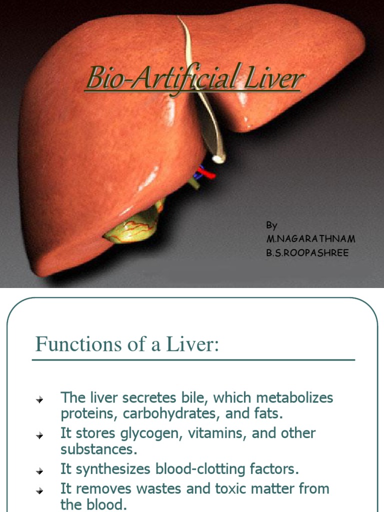Bio-Artificial Liver: by M.Nagarathnam B.S.Roopashree | PDF