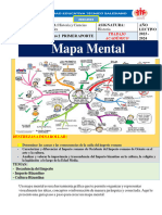 INSUMO 2 MAPA MENTAL .PDF 2
