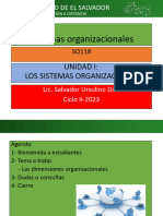 Dimensiones Organizacionales