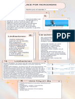 Infografía de Proceso Pantalla Interfaz Pixel Rosa