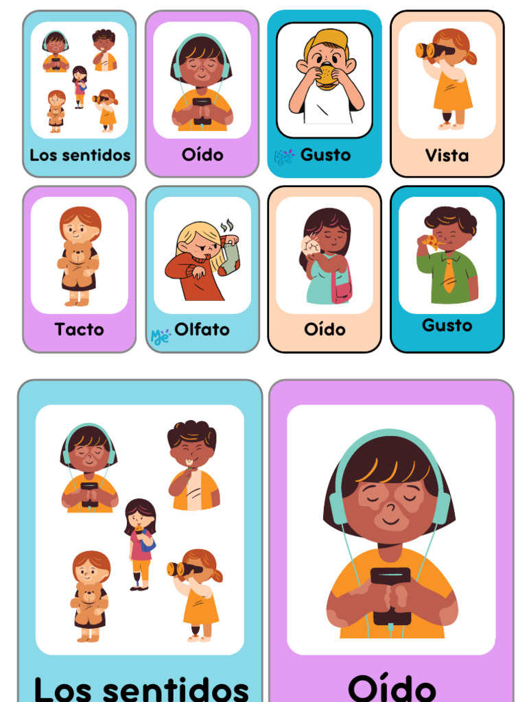 Fichas De Los 5 Sentidos Para Preescolar Pdf