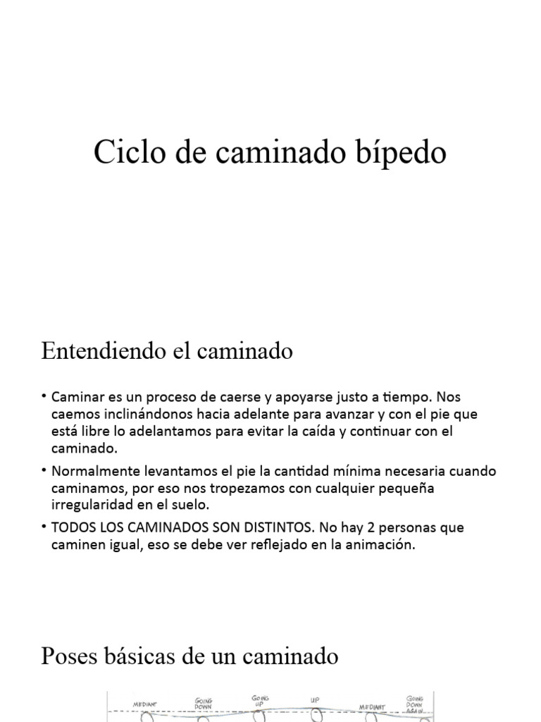06 Ciclo de Caminada Bipedo | PDF