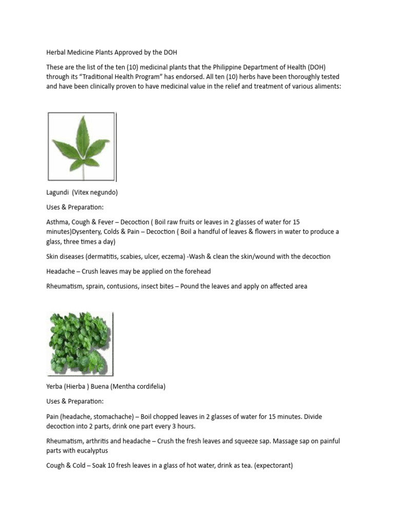 Herbal Medicine Plants Approved by The DOH PDF Dermatitis Causes
