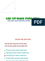 15.ĐC.Hệ Cơ quan phân tích.Xg