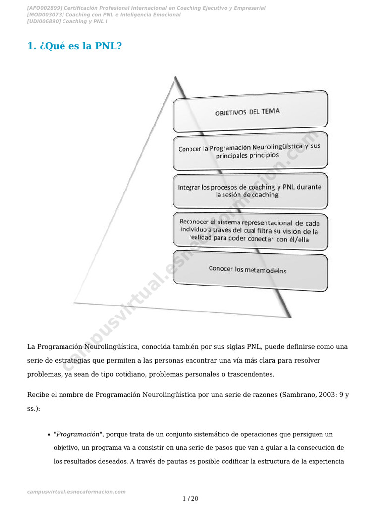 PNL en Coaching: Estrategias Efectivas | PDF | Programación ...