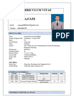 Curriculum Vitae