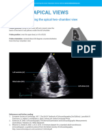 Mastering The Apical Two-Chamber View - ATF