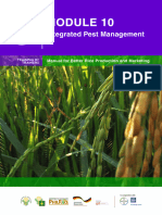 Module 10 Integrated Pest Management