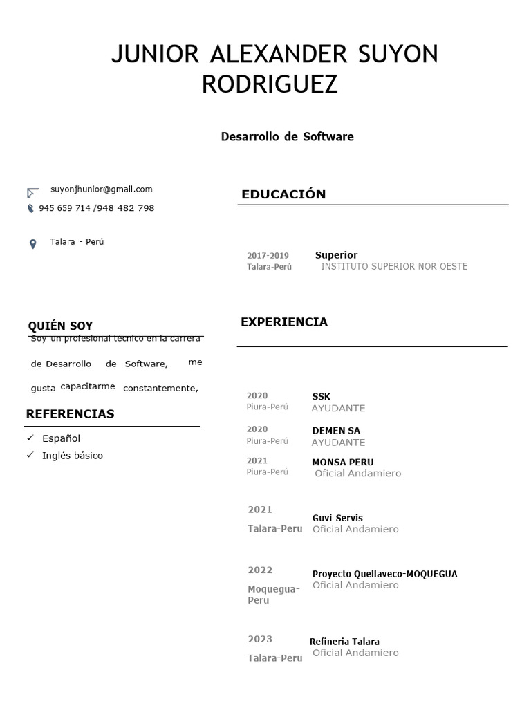 Perfil Profesional de Jhunior Suyon | PDF | Ingeniería