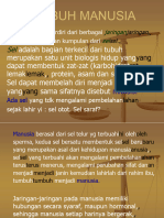 Fisiologi Manusia