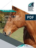 Rho Older Horse Booklet