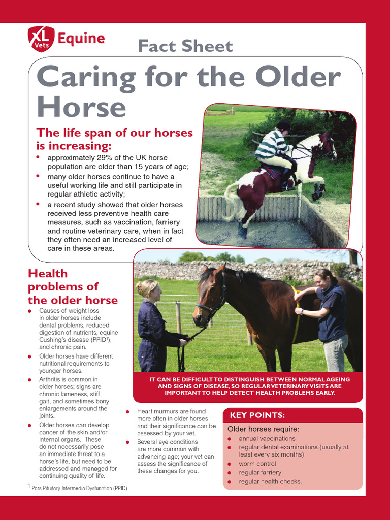 XLVets Equine Rebranded 009 Caring For The Older Horse Factsheet PDF Horses Chronic Condition