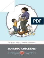 Raising Chickens Web-1