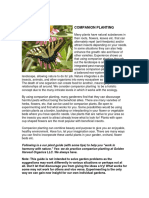 3 Companion Planting PDF