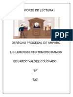 Reporte de Lectura Derecho Procesal Amparo