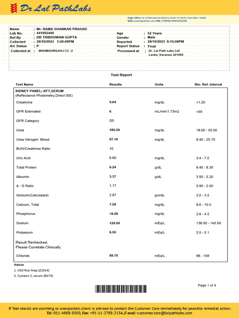 Kidney Function Test Report Summary | PDF | White Blood Cell | Physiology