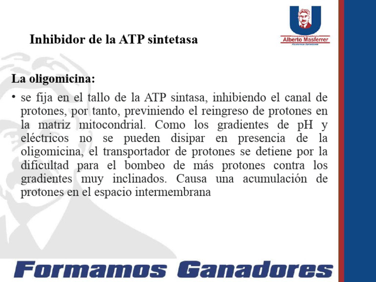 Inhibidor | PDF