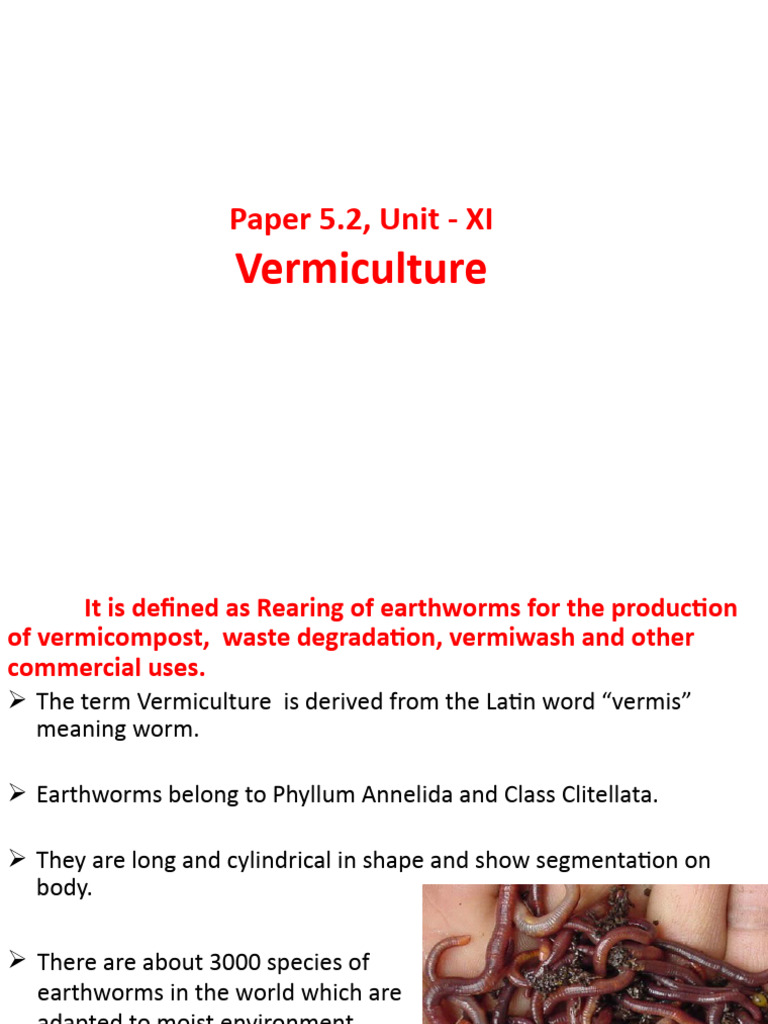 vermiculture business plan pdf