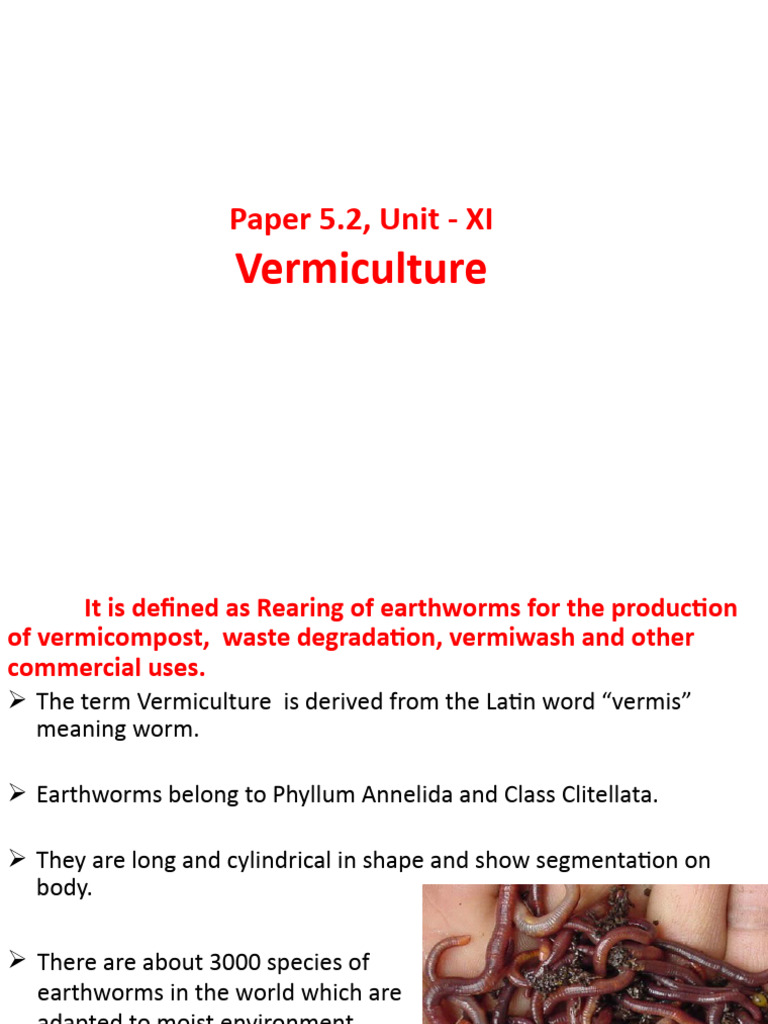 Vermiculture PDF