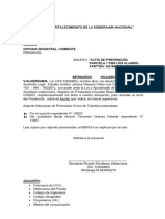 Documento Don Ricardo - VI