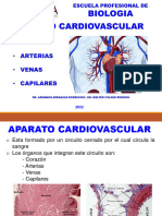 Aparato Cardiovascular 2022