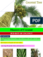 Diseases of Coconut