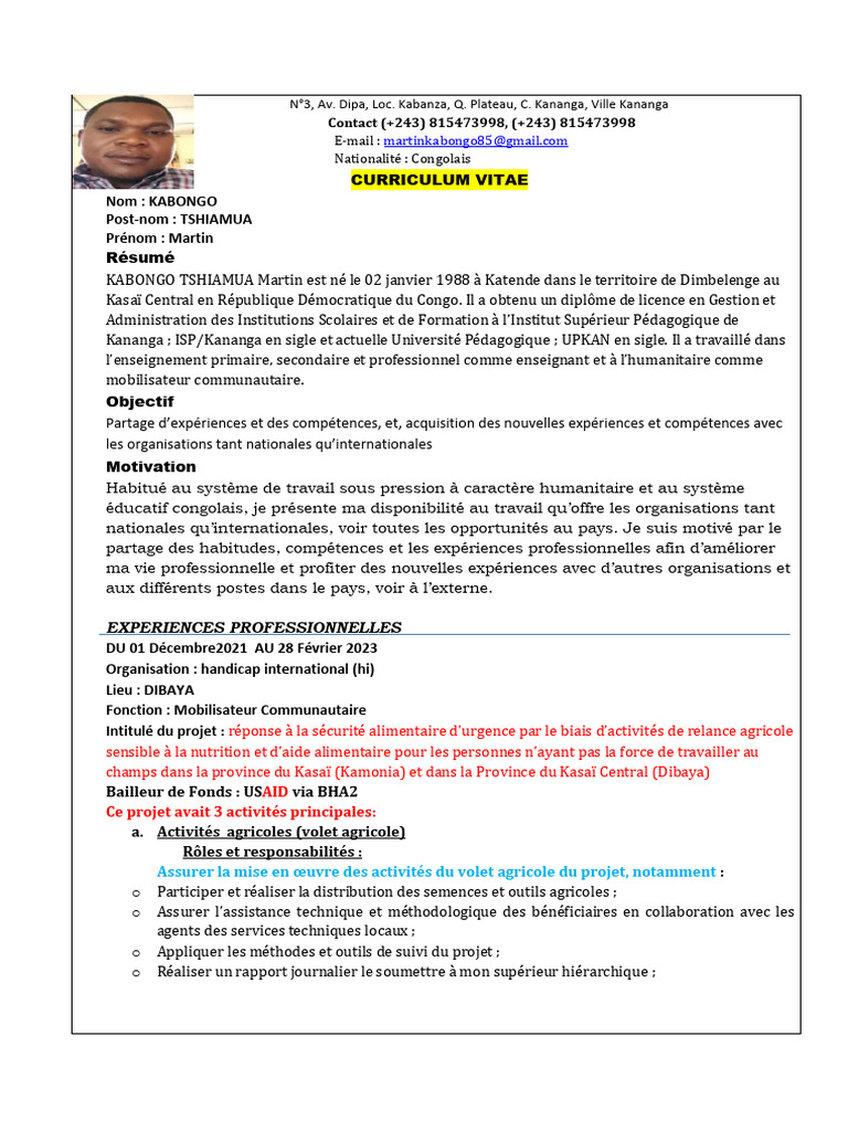 cv-de-martin-kabongo-tshiamua-pdf-p-dagogie-invalidit