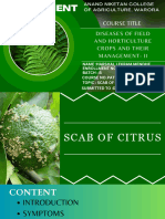 Diseases of Field and Horticulture Crops and Their Management
